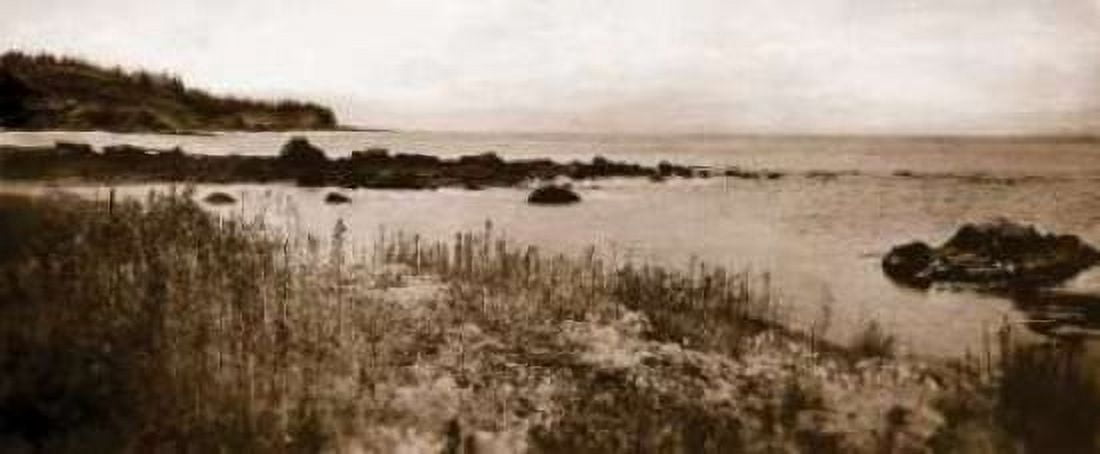 Sepia Island Shores I Canvas Art - Amy Melious (10 x 20)