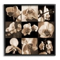 thumbnail image 1 of Sepia Orchid Varied Photography Botanical & Floral Photograph Black Framed Art Print Wall Art, 1 of 7