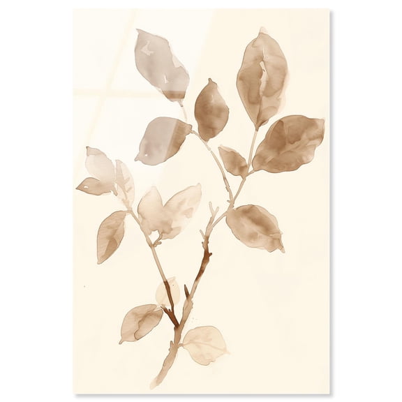 Sepia Sprigs II Acrylic Print Boho Natural Art by Art Remedy, Ready to Hang, 10 x 15