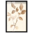 thumbnail image 1 of Sepia Sprigs II Shadowbox Print Boho Natural Art by Art Remedy, Black Frame, 30 x 45, 1 of 7