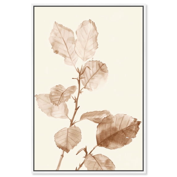 Sepia Sprigs III Canvas Print Boho Natural Art by Art Remedy, White Frame, 36 x 54