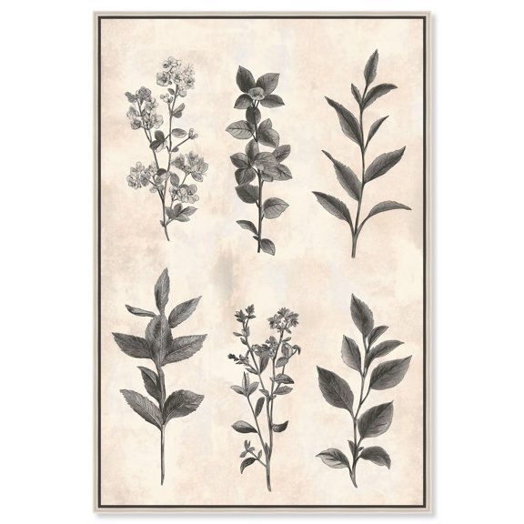 Sepia Stems Canvas Vintage Floral Art by Art Remedy, Silver Frame, 24 x 36
