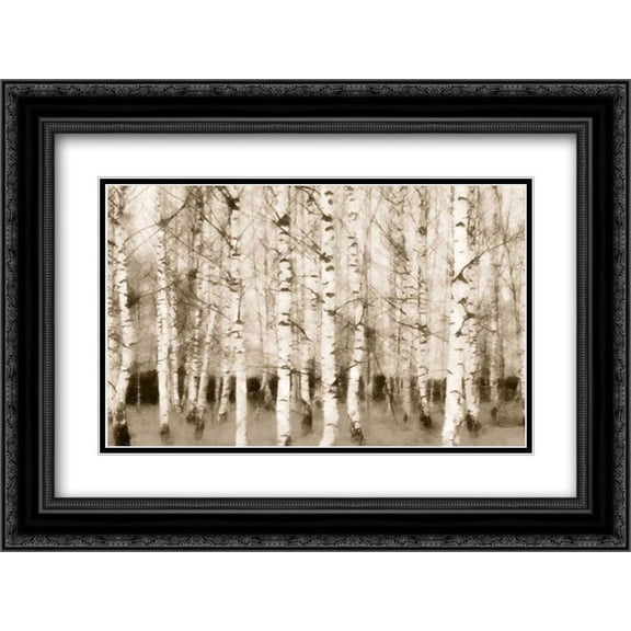Sepia Timber 2x Matted 24x18 Black Ornate Framed Art Print by Greene, Taylor