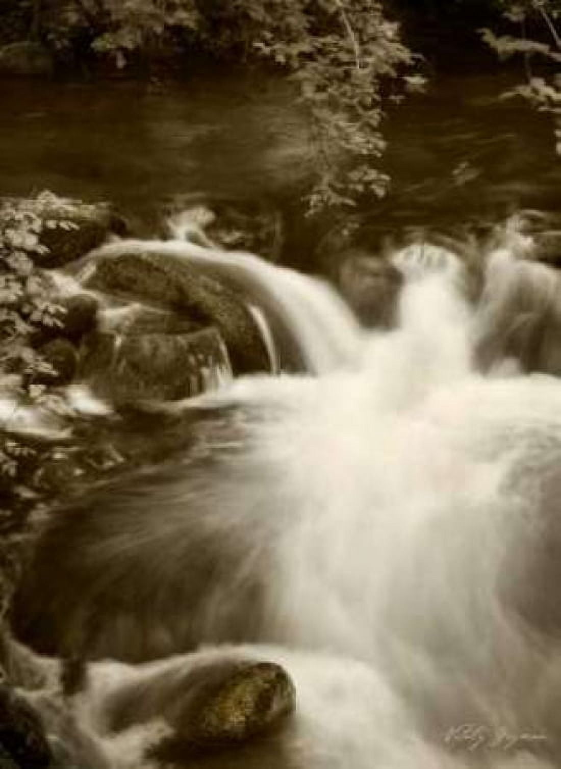 Sepia Waters III Canvas Art - Vitaly Geyman (18 x 24)