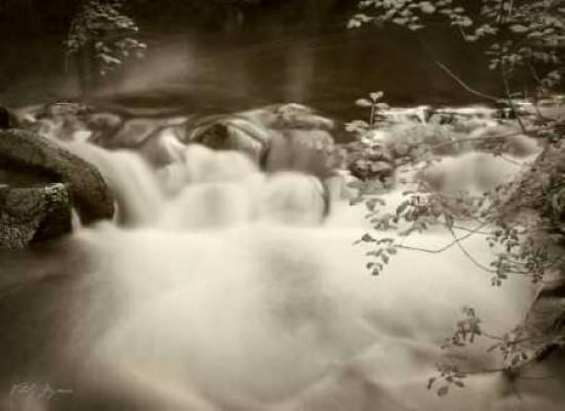 Sepia Waters IV Canvas Art - Vitaly Geyman (18 x 24)