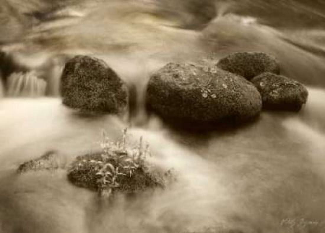 Sepia Waters VI Canvas Art - Vitaly Geyman (20 x 28)