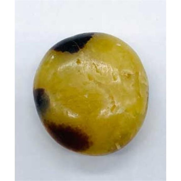 Septarian Jasper Palm Stone - Unique Shape - 0.3 lbs - Grounding Energy