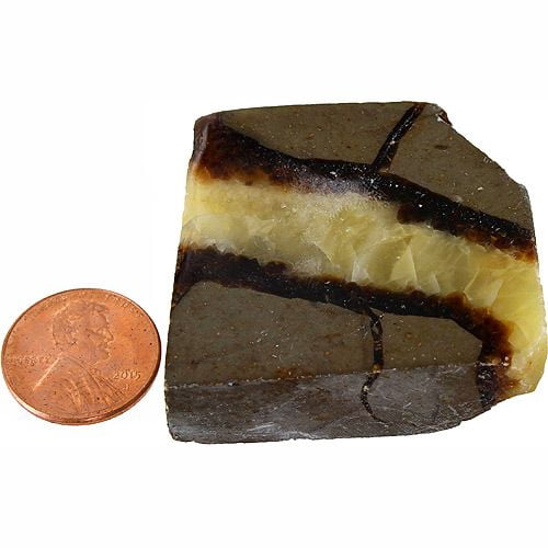 Septarian Slab