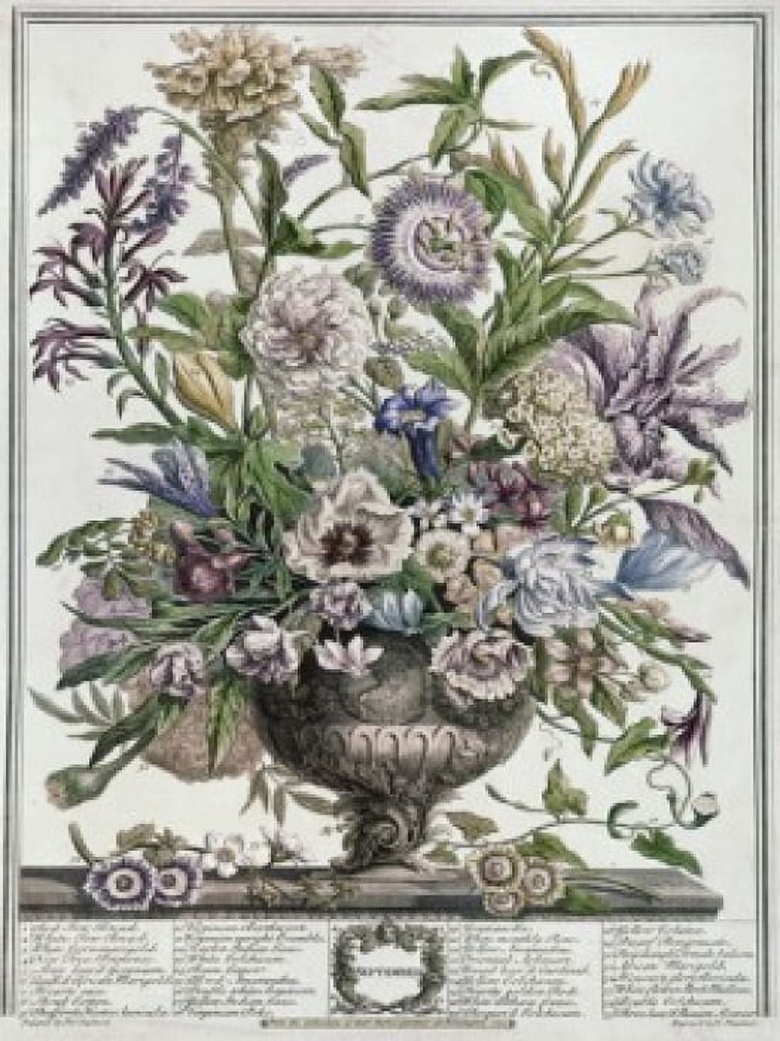 September 1730 H Fletcher (ca18th C British) Lithograph Canvas Art - H Fletcher (18 x 24)