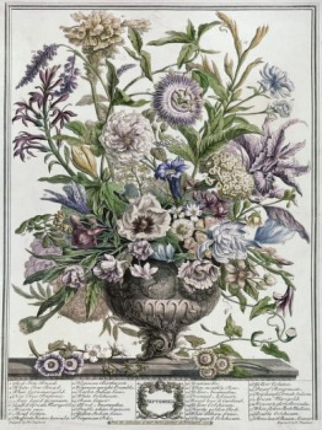 September 1730 H Fletcher (ca18th C British) Lithograph Canvas Art - H Fletcher (24 x 36)
