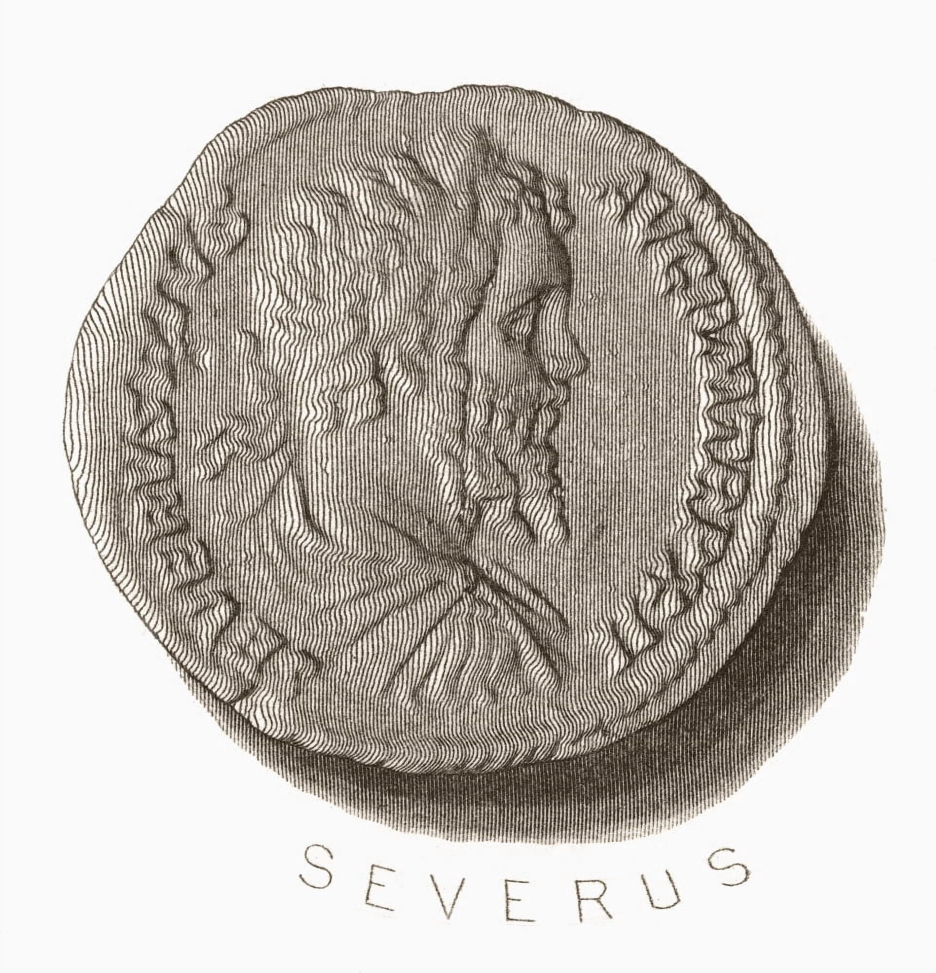 Septimius Severus aka Severus 145AD Canvas Art - Ken Welsh Design Pics (26 x 28)