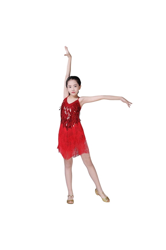 Sequin Girls Dress Sleeveless Girls Fringe Dress Dance Dresses Girls Flapper Dress for Kids 4-5 Years