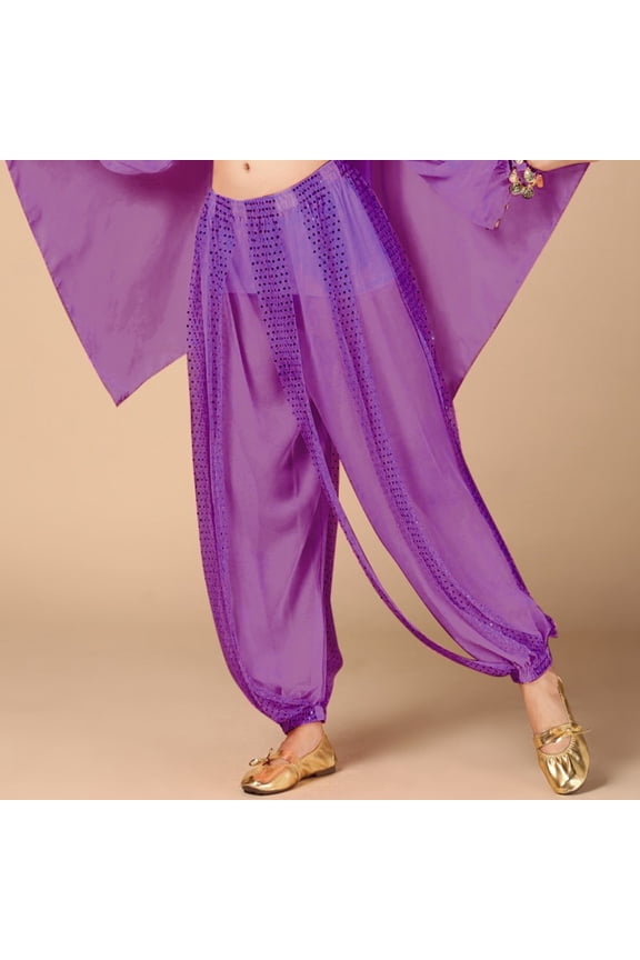 Sequin Pants Belly Dance Performance Dance Pants Chiffon Highlight Pants Womens Casual Pants 24w Cute Sweatpants Womens Pants Casual Loose Pants for Women Elastic Waist Hot Pants for Women Casual