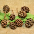 thumbnail image 1 of Sequoia Cones - Sequoia Pine 2-3in. long 3lbs per bag (75-100 cones) natural brown -- Single Bag, 1 of 4