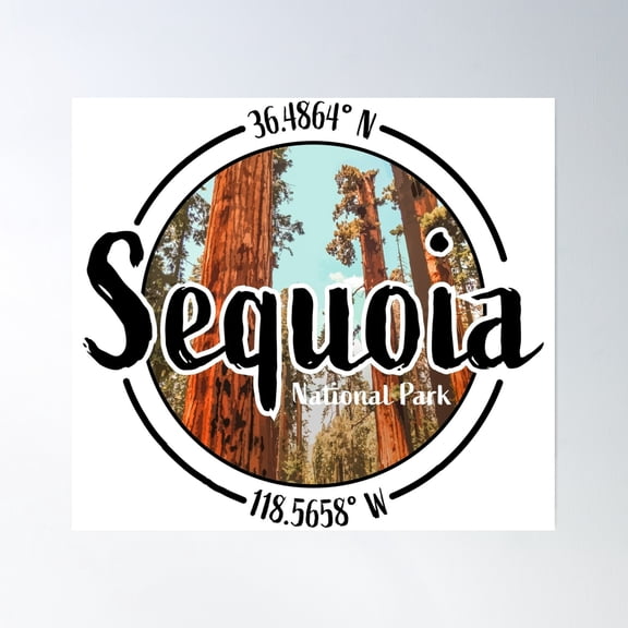Sequoia Design With Latitude And Longitude Poster Wall Art, Modern Wall Decor, 24x24 UNFRAMED