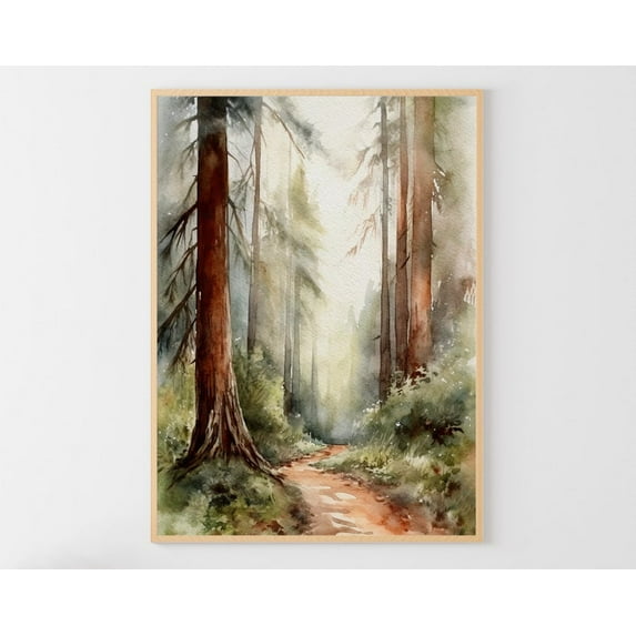 Sequoia National Park Art Poster: Redwood Forest Poster, Stretched Canvas Size 16x24