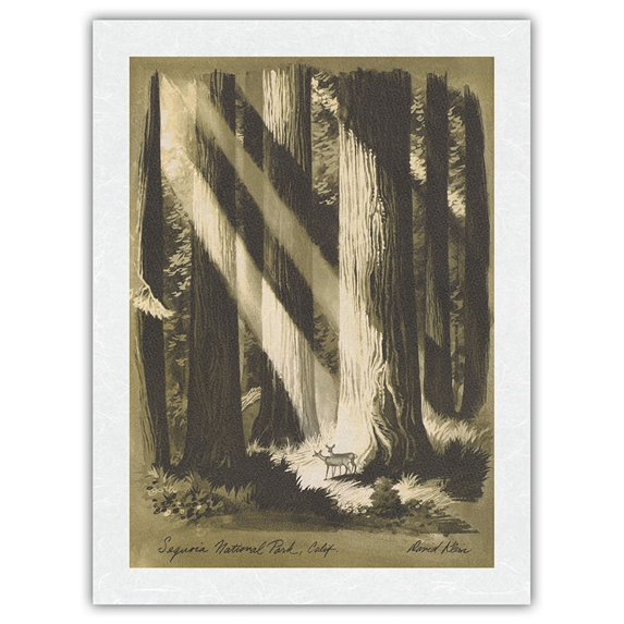 Sequoia National Park California - Giant Sequoia Trees - Vintage Travel Poster by David Klein c.1960s - Japanese Unryu Rice Paper Art Print 24 x 32 in