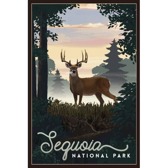 Sequoia National Park, Deer and Sunrise (36x54 Giclee Gallery Art Print, Vivid Textured Wall Decor)
