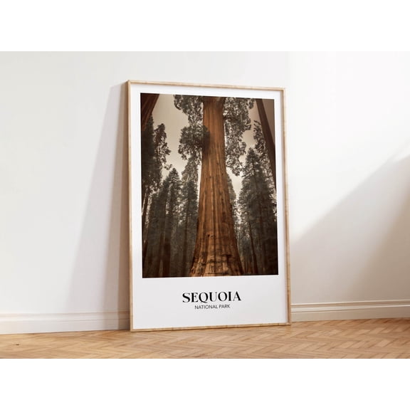 Sequoia National Park Rustic Vintage Travel Wall Art Print Unframed Paper Print