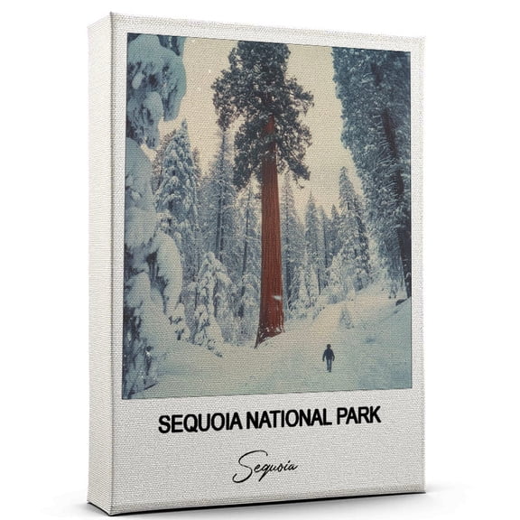 Sequoia National Park Travel Art Canvas – Modern Wall Art Inspired by Sequoia Canvas – Great Gift for Travel Lovers – Ready to Hang