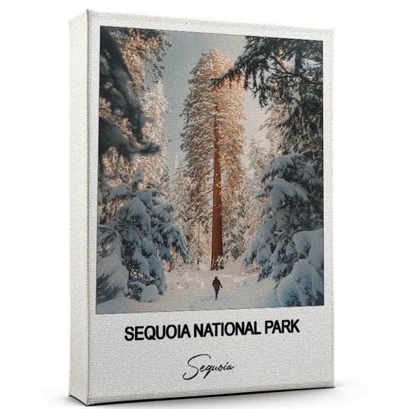 Sequoia National Park Travel Wall Decor  Scenic Travel Canvas Print of Sequoia Canvas  Beautiful Gift for Home, Office, or Living Space