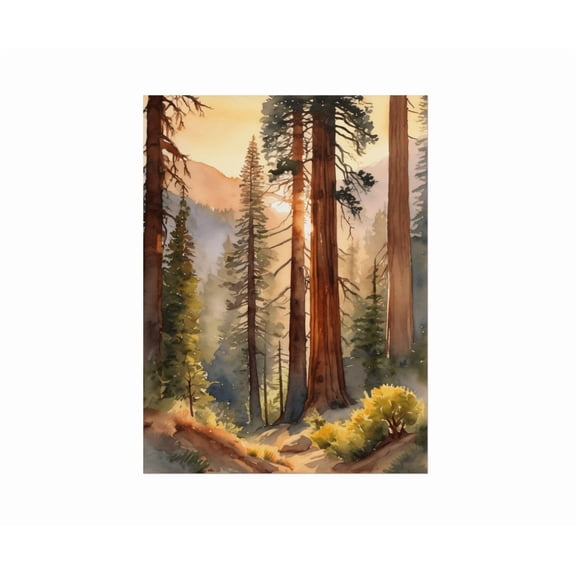 Sequoia National Park Watercolor Style Painting Pine & Redwood Forest Poster California Landscape Poster Woodland Nature Wall Art Decor