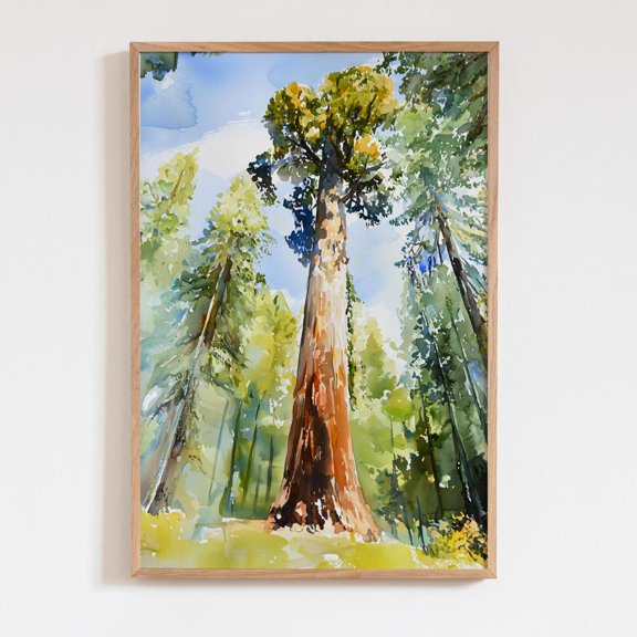 Sequoia Tree Wall Art Print, Sequoia National Park, Tall Forest Tree Summer Nature Decor