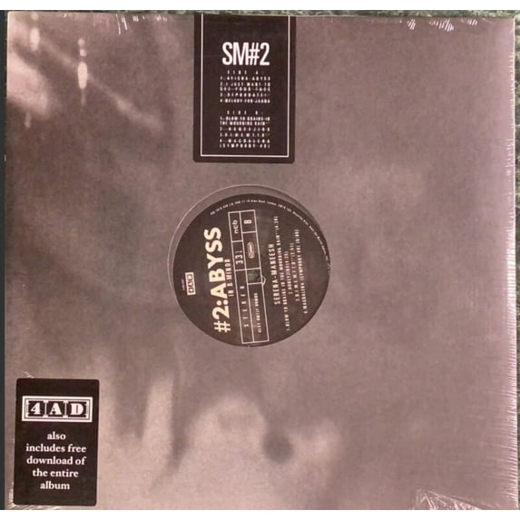 Serena-Maneesh - #2: Abyss In B Minor - Vinyl LP