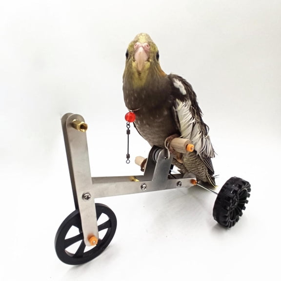 Serenable Parrot Bike Toy Exercise Parrot Training Bike for Macaws Conures Parakeet Style A