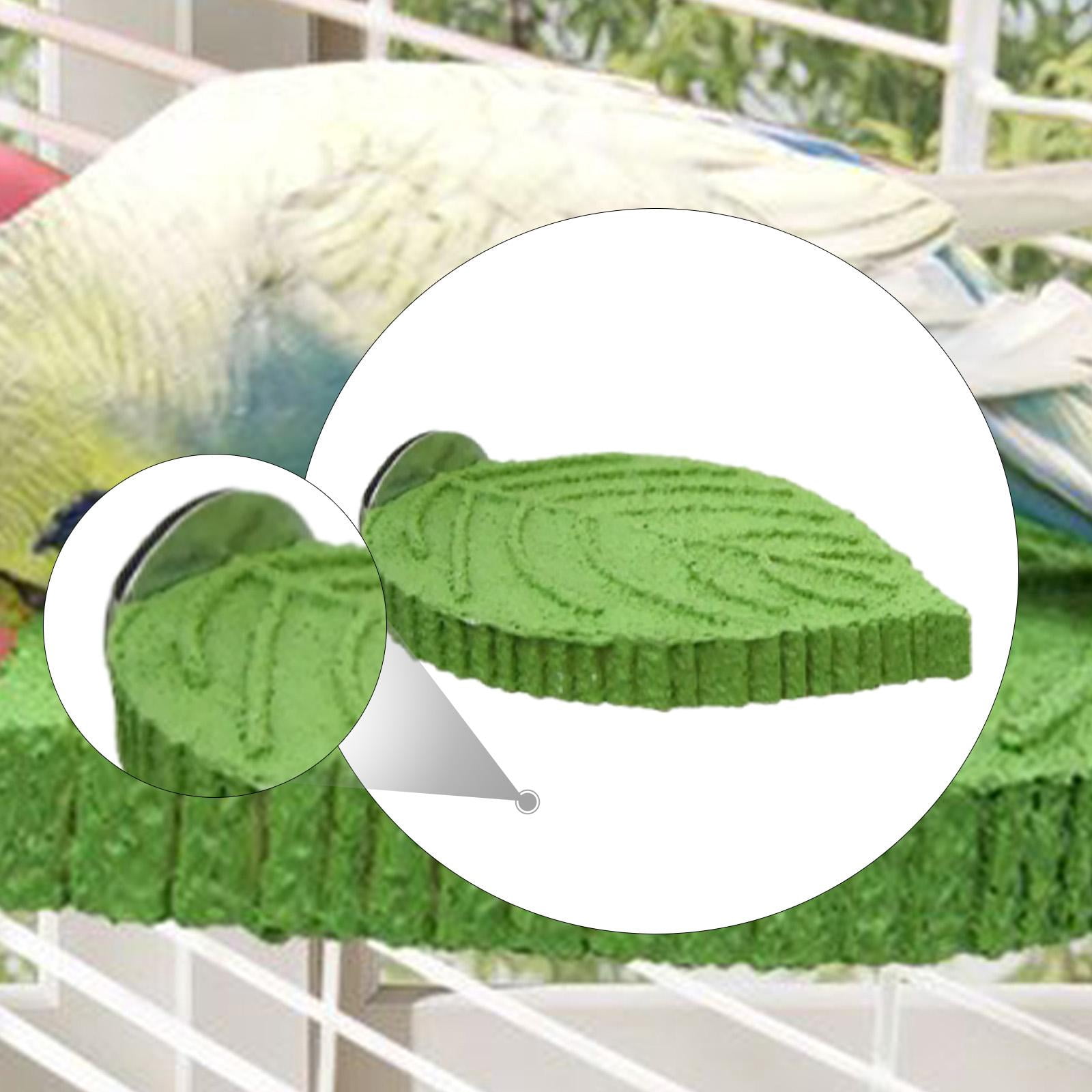 Curated visual reference: Blue Macaw Pet Bird Cage DIY Reference: Serenable Pet Parrot Perch Bird Cage Perch Resin Macaws Lovebirds