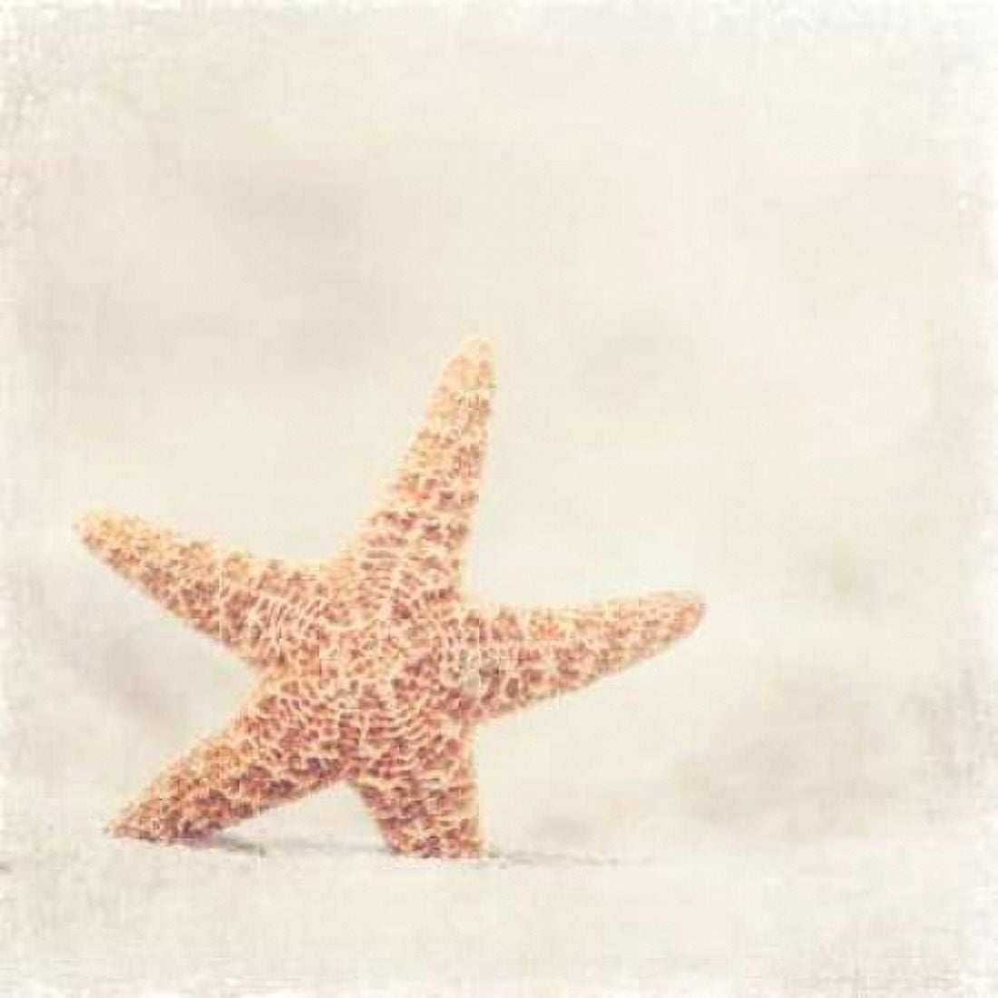 Serendipity Canvas Art - Carolyn Cochrane (24 x 24)