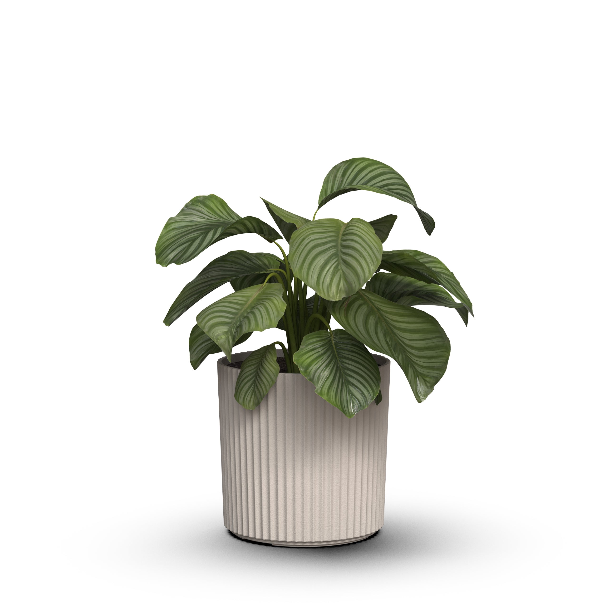 Serene 10in DIA x 10in H Round Chai Plastic Plant Planter with Drainage Holes - Black