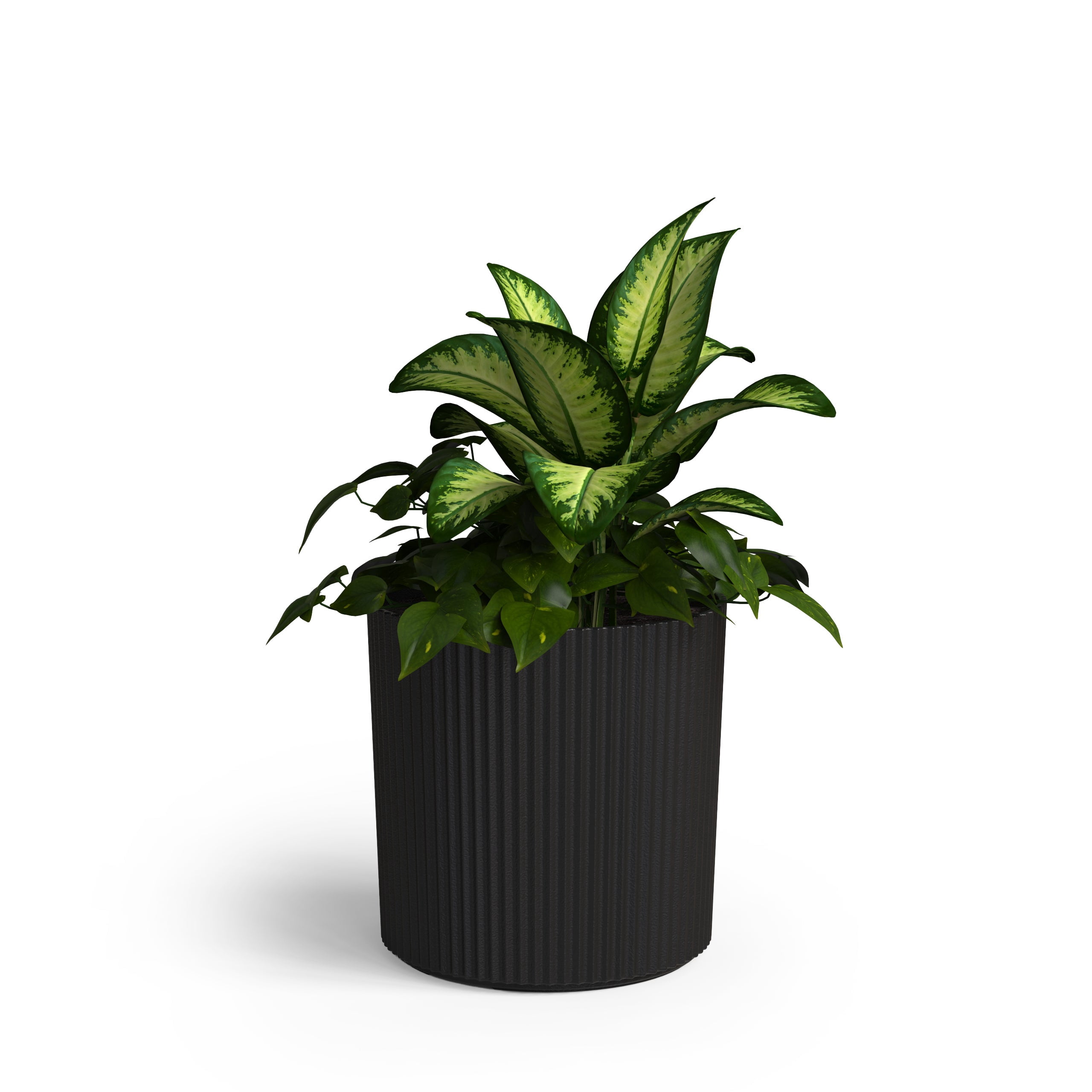 Serene 12in DIA x 12in H Round Black Plastic Plant Planter with Drainage Holes