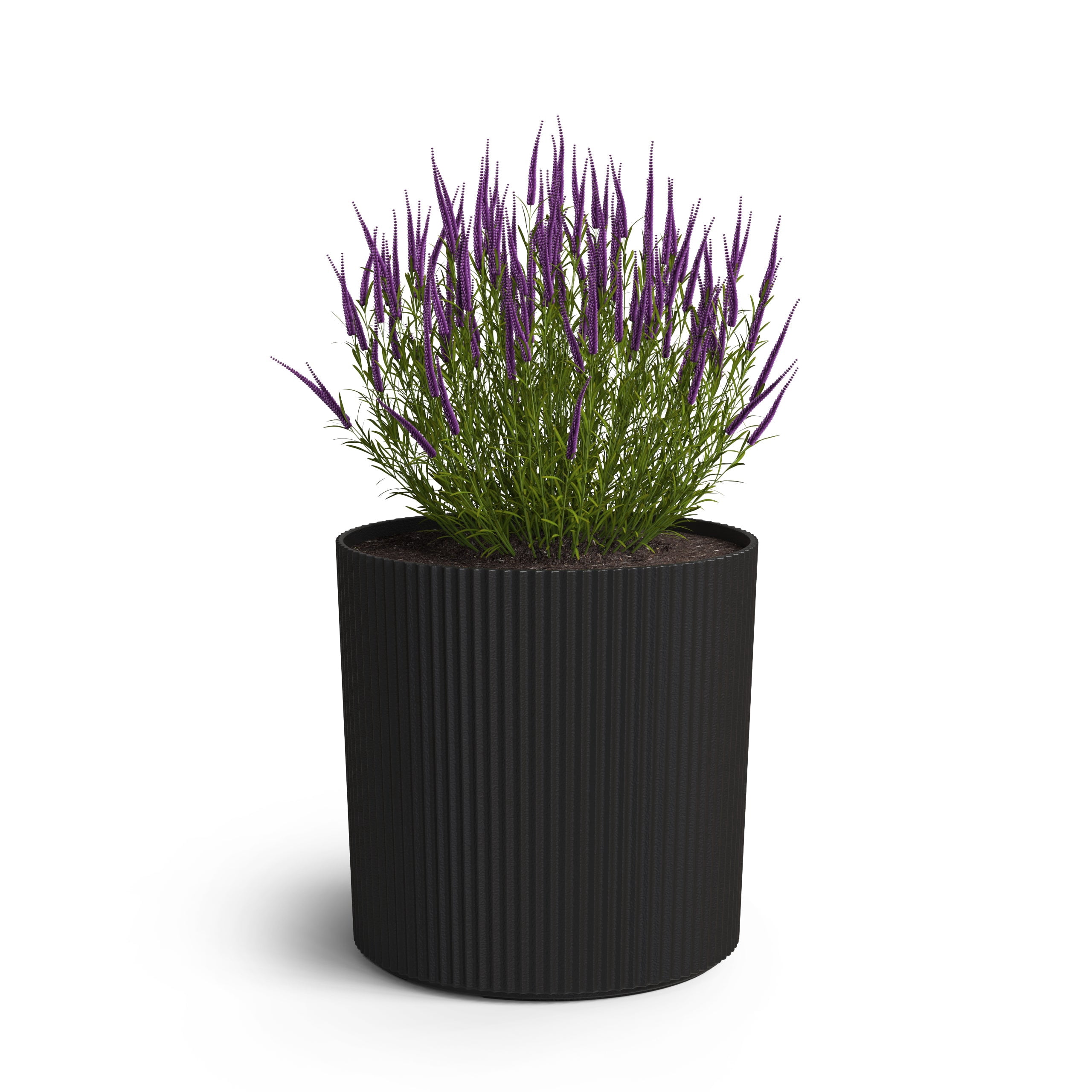 Serene 14in DIA x 14in H Round Black Plastic Plant Planter with Drainage Holes
