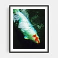 thumbnail image 1 of Serene Aquatic Aura - Athens Greece Photography Aquatic Marine Life Abstract Water Animal Surrealism Wildlife Black Framed Wall Art Print 11 x 14 inches, 1 of 4