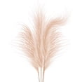 thumbnail image 1 of Serene Lotus Faux Pampas Grass Cream Color, 1 of 5