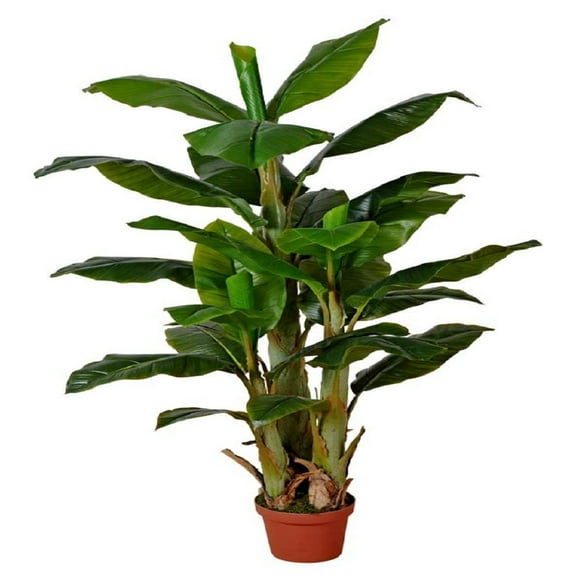 Serene Spaces Living Artificial Banana Tree in Pot, 16" Diameter & 65" Tall