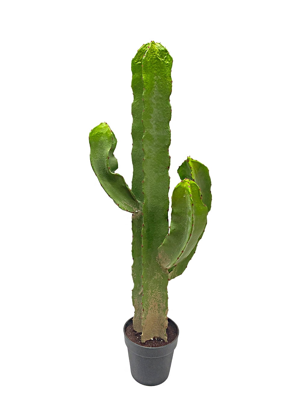 Serene Spaces Living Artificial Potted Candelabra Cactus-15" Dia & 44" Tall  - Walmart.com