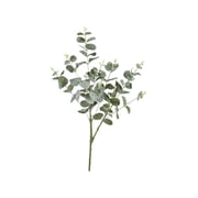 Serene Spaces Living Eucalyptus Leave Spray 32 Inches Tall, Pack of 12