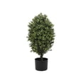 thumbnail image 1 of Serene Spaces Living Faux Oval Boxwood Topiary Tree in Pot, 14" Dia & 24" Tall, 1 of 3