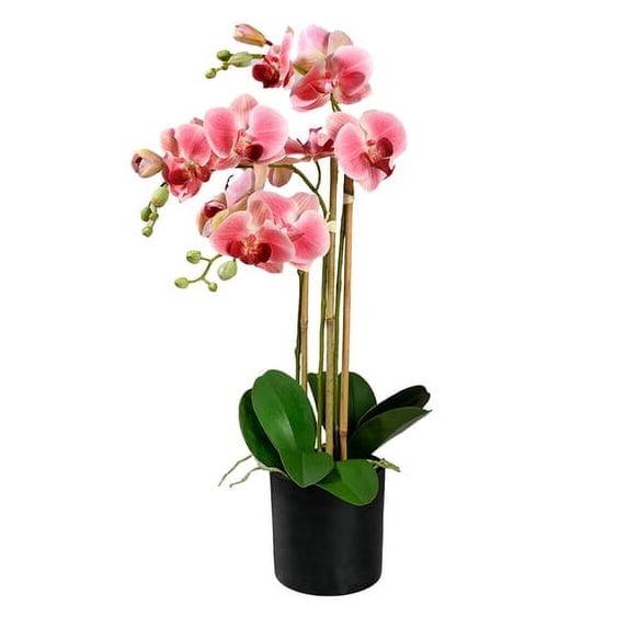 Serene Spaces Living Faux Pink Phalaenopsis Orchids in Pot, 5" Dia & 26" Tall