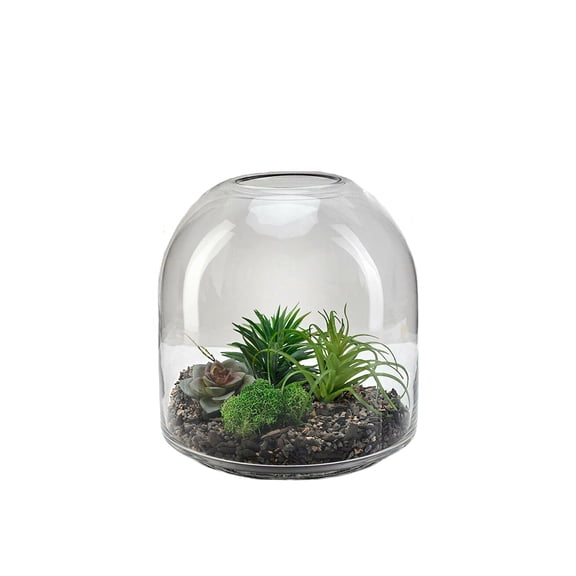Serene Spaces Living Small Clear Glass Terrarium, 7.75"Diameter & 7.75"Tall