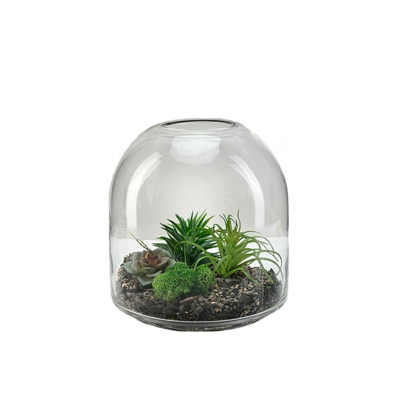 Serene Spaces Living Small Clear Glass Terrarium, 7.75"Diameter & 7.75"Tall