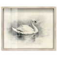 thumbnail image 1 of Serene Swan Shadowbox Print Animal Illustrations by Art Remedy, Blonde Frame, 45 x 36, 1 of 6