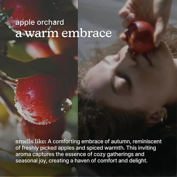 SereneScent Waterless Diffuser Oil Refill — Apple Orchard (120ml)