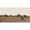thumbnail image 1 of Serengeti Horizons II Poster Print by Jeff/Boyce Maihara/Watt, 1 of 1