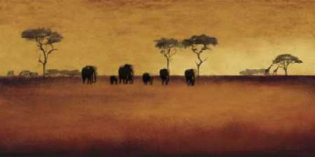 Serengeti II Canvas Art - Tandi Venter (10 x 20)