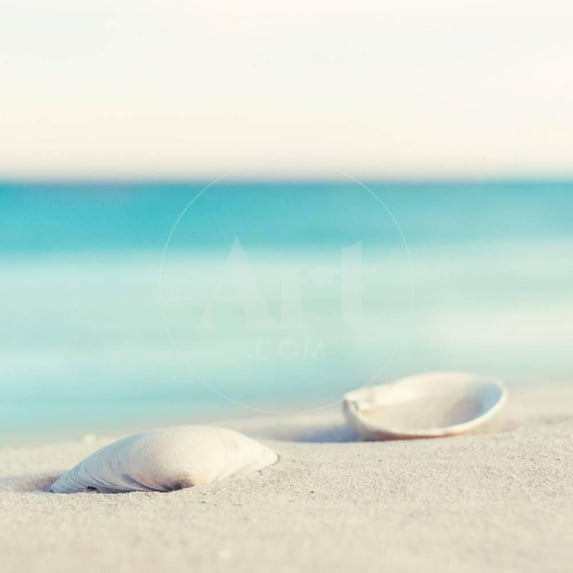 Serenity, Animals Unframed Photographic Print Wall Art by Carolyn Cochrane Sold by ArtCom