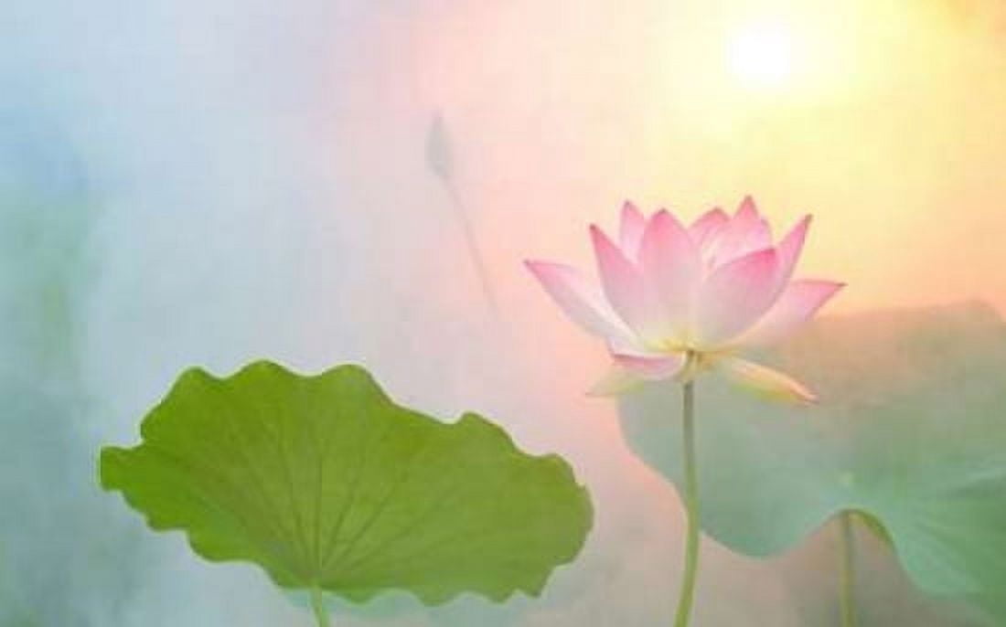 Serenity Canvas Art - Bahman Farzad (24 x 36)
