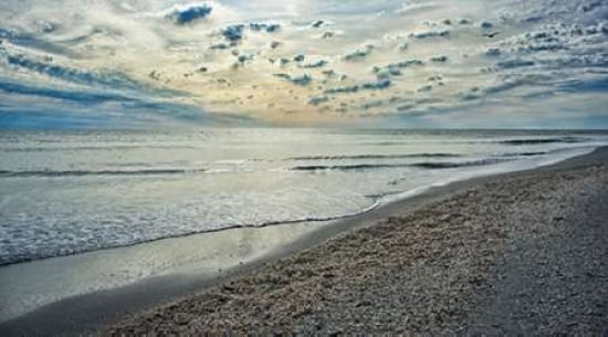 Serenity Shoreline Canvas Art - David Liam Kyle (12 x 18)